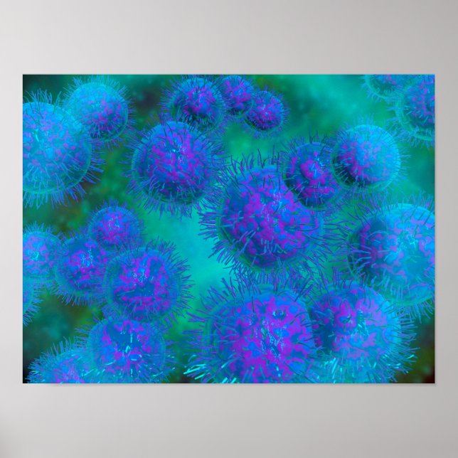 Poster Visão Microscópica De Diplococcus Bacterium (Frente)