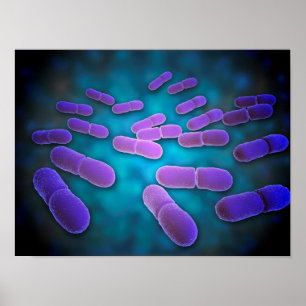 Póster Visão Microscópica De Listeria Monocytogenes 5