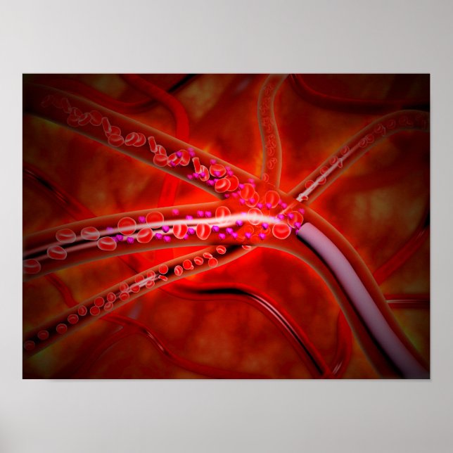 Póster Visão Microscópica Do Medicamento Injetado (Frente)