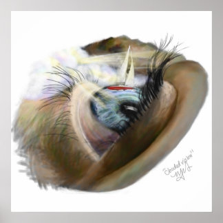 Póster Visão nublada