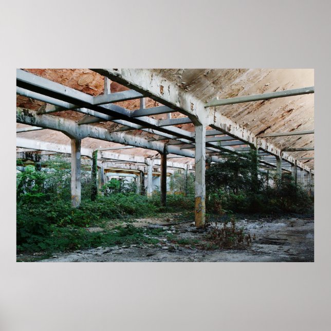 Poster Viscosa 6 (Frente)