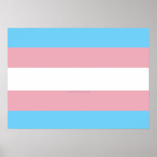 Poster Visibilidade da bandeira do orgulho transgênero da