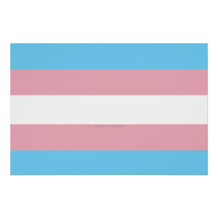 Póster Visibilidade da bandeira do orgulho transgênero da