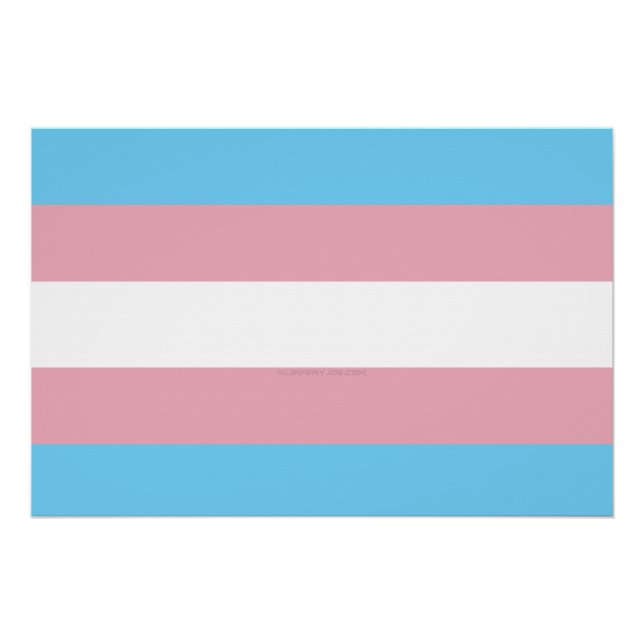 Póster Visibilidade da bandeira do orgulho transgênero da (Frente)