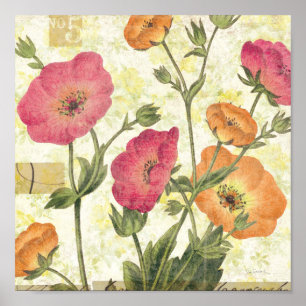 Poster Visitas Coloridas