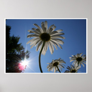 Póster Visitas e céu azul