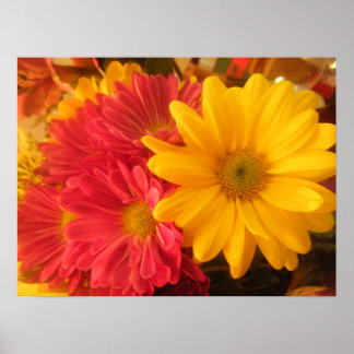 Póster Visitas Rosa e Amarelo