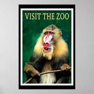 Poster Visite o Zoológico, pôster de viagem vintage