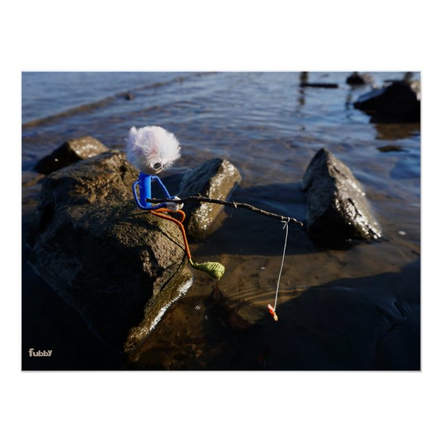 Póster Vissende Fubby op een steen. (Frente)