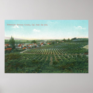 Póster Vista aérea da cidade, Sonoma County do monte