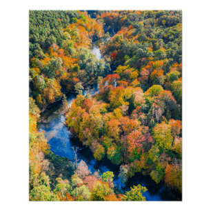 Póster Vista aérea da floresta solar do outono