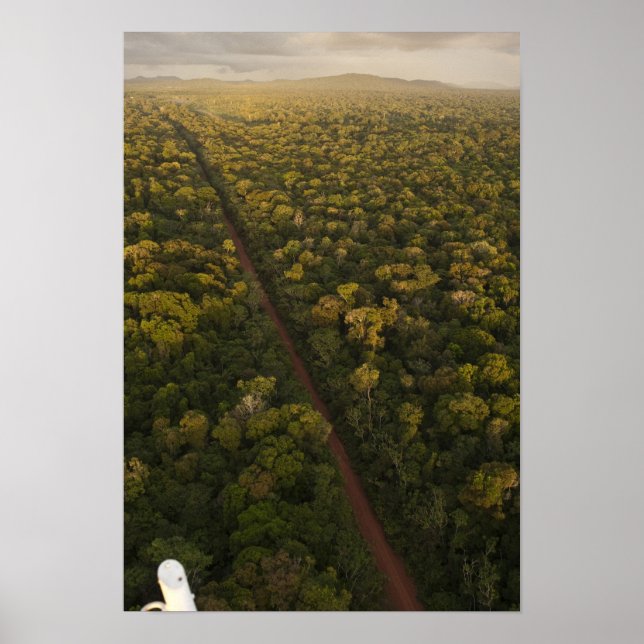 Poster Vista aérea da floresta tropical. Reserva Iwokrama (Frente)
