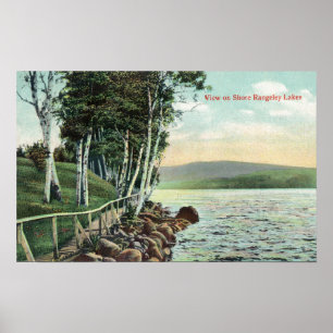 Póster Vista da costa do lago