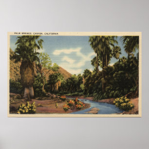 Póster Vista da garganta do Palm Springs