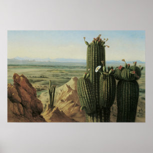 Poster Vista da montanha de Maricopa perto de Rio Gila