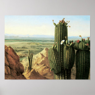Póster Vista da Montanha Maricopa perto do rio Gila