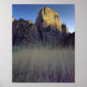 Póster Vista da planície de inundação do Virgin River, Zi