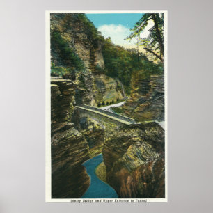 Poster Vista da ponte da sentinela & do túnel superior