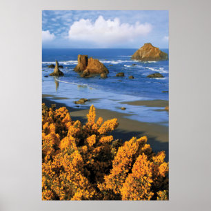 Poster Vista da Praia de Oregon em Bandon
