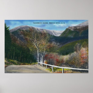 Póster Vista da ravina de Tuckermans