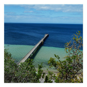 Póster Vista das aves marinhas, Poster brilhante