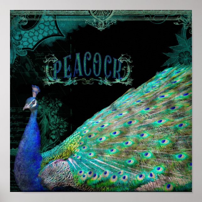 Póster Vista de Arte de Parede Elegante do Peacock Modern (Frente)