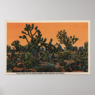 Poster Vista de árvores da mandioca no deserto do Mohave