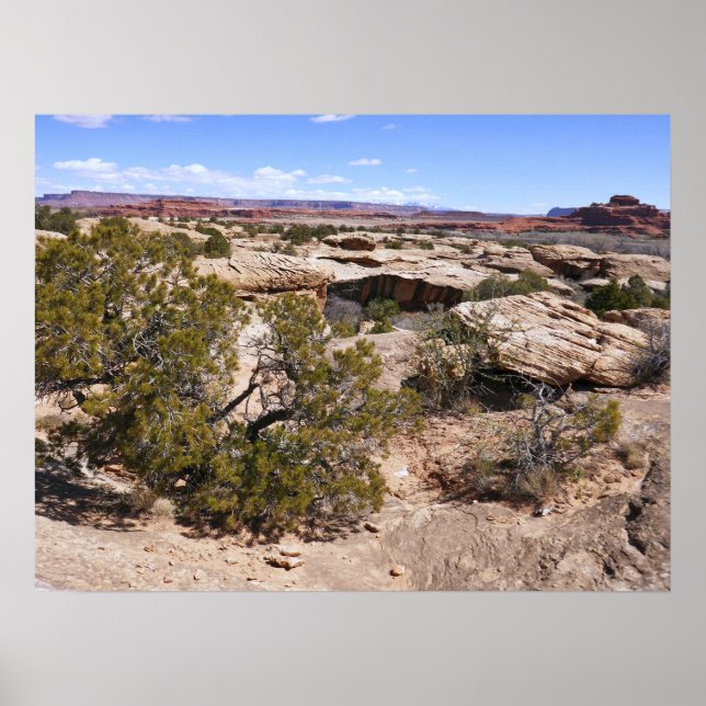 Poster Vista de Canyonlands desde a Trilha Cave Springs (Frente)