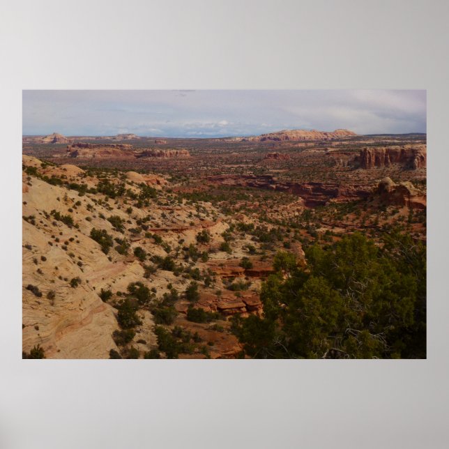 Póster Vista de Canyonlands desde a Trilha Neck Springs (Frente)