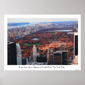 Poster Vista de cima: outono no Central Park 01C