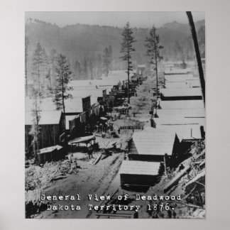 Póster Vista de Deadwood SD em 1876