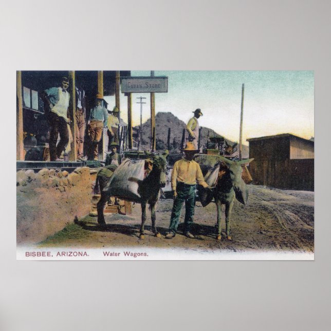 Poster Vista de Donkeys Carregando WaterBisbee, AZ (Frente)