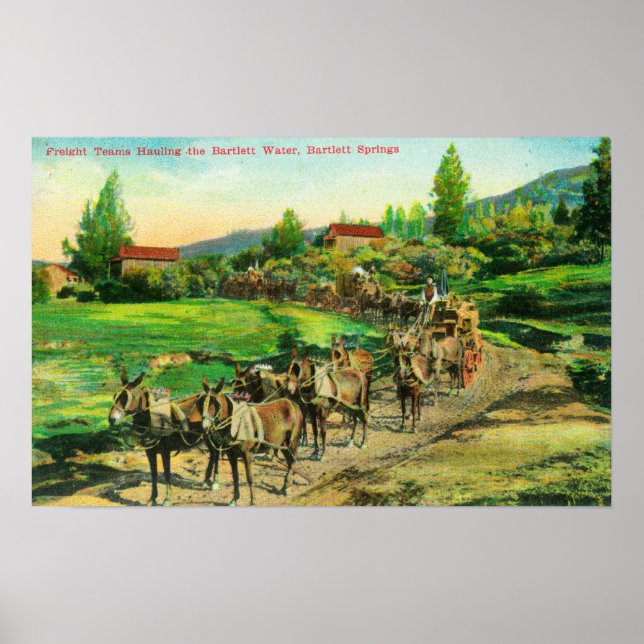 Póster Vista de Equipes de Frete que Hauling Bartlett Wat (Frente)