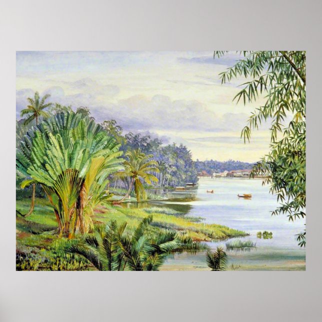 Poster Vista de Kuchine e River, Sarawak, Borneo (Frente)