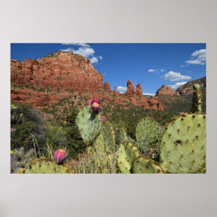 Poster Vista de montículos gêmeos   Sedona, arizona