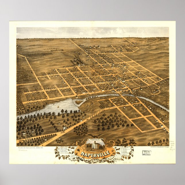 Póster Vista de Olho de Bird, em Naperville Illinois (186 (Frente)