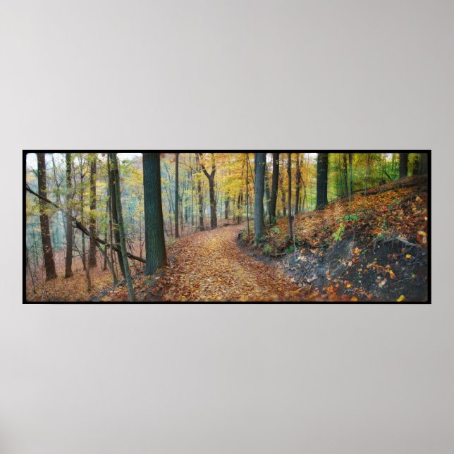 Poster Vista de outono,poster (Frente)