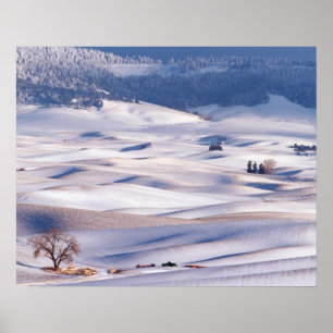 Poster Vista de Steptoe Butte de colinas onduladas cobert
