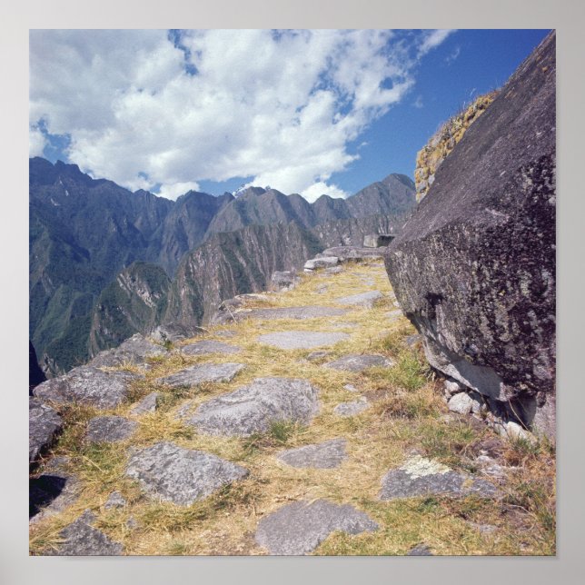 Póster Vista de um precipício (Frente)