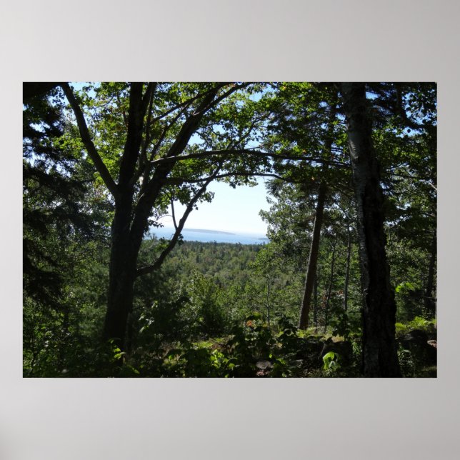 Poster Vista de Verão no Parque Nacional de Acadia (Frente)