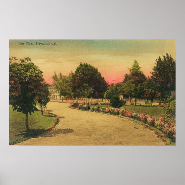 Poster Vista do City PlazaHayward, CA (Frente)