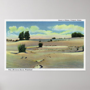 Poster Vista do Deserto do Maine