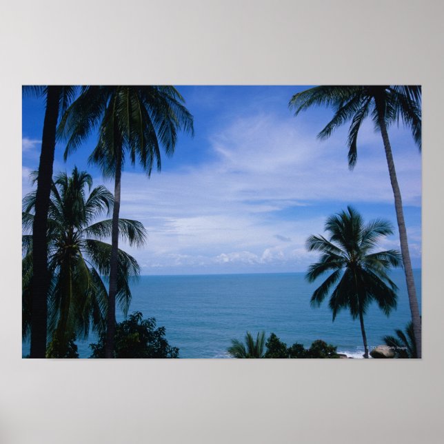 Póster Vista do horizonte oceânico a partir da terra (Frente)