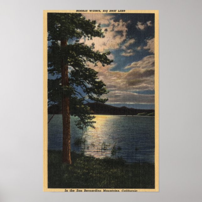 Poster Vista do Lago ao Luar (Frente)