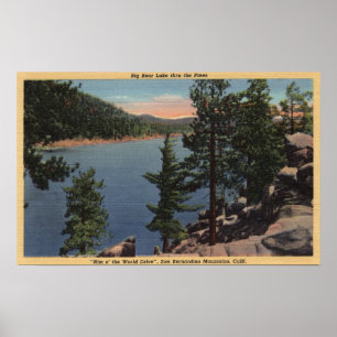 Póster Vista do lago através dos pinhos