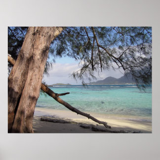 Póster Vista do Oceano