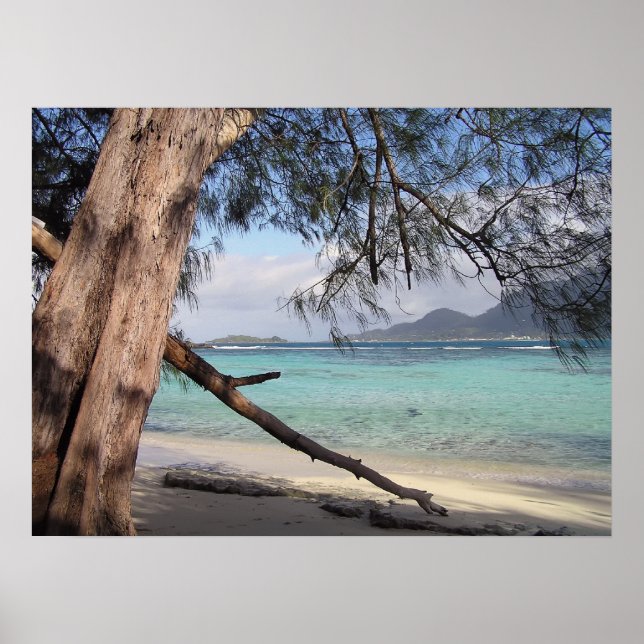 Póster Vista do Oceano (Frente)