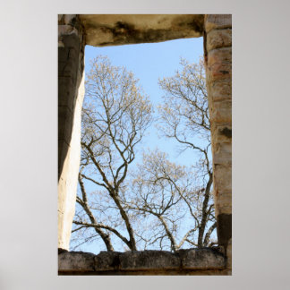 Póster Vista do Texas Central