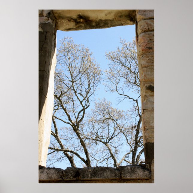 Póster Vista do Texas Central (Frente)