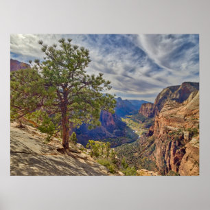 Poster Vista do Zion Canyon do Angels Landing